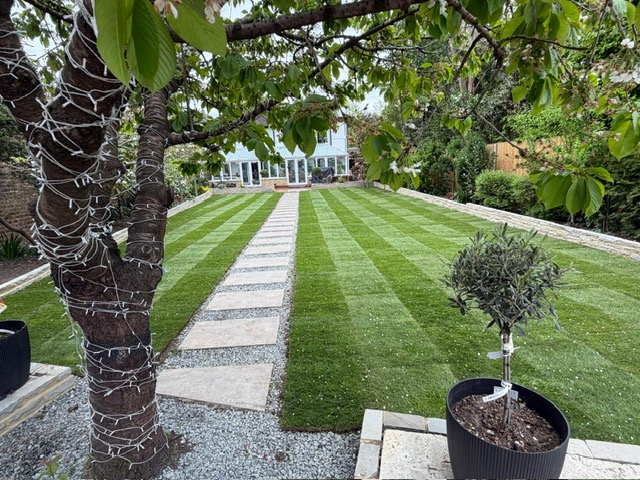 Striped lawn with stone stepping-stone path, Surrey garden